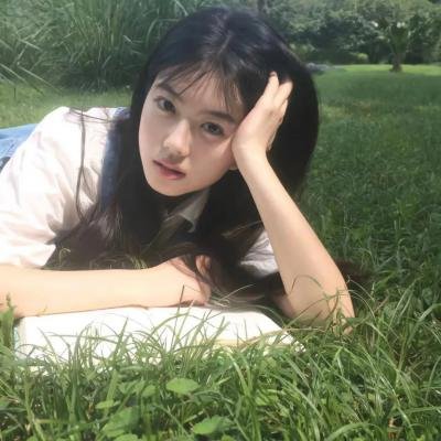 群鸟东径